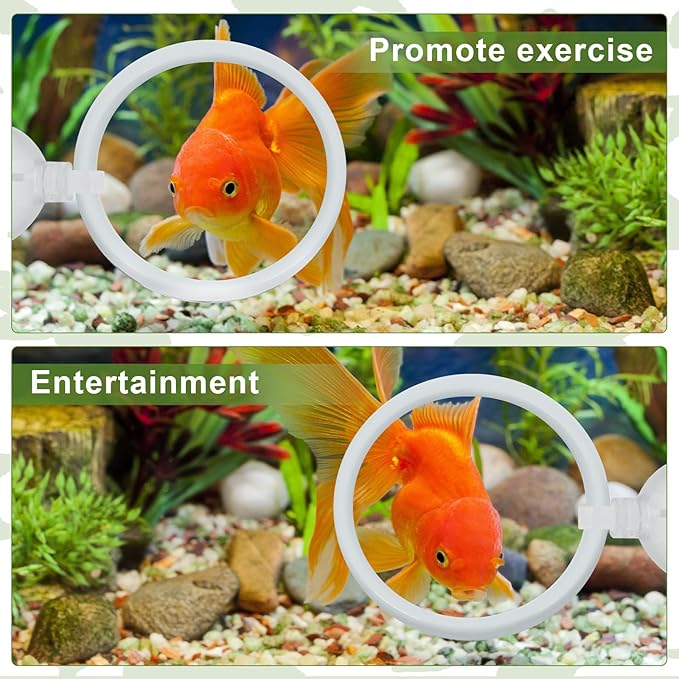 2 Pcs Betta Fish Exercise Ring and Betta Mirror Set,Betta Ring Enrichment Toys,Betta Toys Suitable for Fish Tank, Betta Tank, Betta Aquarium