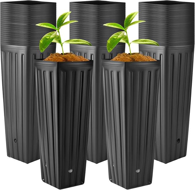 Nuenen 30 Pcs Tall Pot Plastic Deep Plant Nursery Pots Black Seedling Flower Plant Container with Drainage Holes for Indoor Outdoor Gardening (11.8" H X 3.9" W)