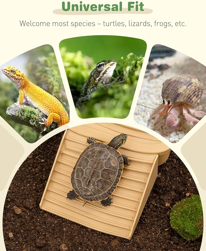 Pawfly Reptile Bathing Pool with Removable Ramp, Reptile Food Dish Feeding Dish, Tortoise Water Dish Water Bowl with Steps, Turtle Bathing Pool Bath Tub Soaking Dish for Gecko Snake Lizard Frog