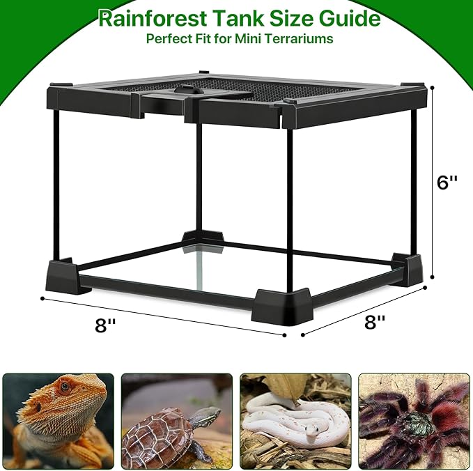 Mini Glass Terrarium Tank 8"x8"x6" with Top-Opening Mesh Lid, 360° Clear View, Ventilated Enclosure for Tarantulas, Jumping Spiders, Isopods, Froglets, & Small Reptiles