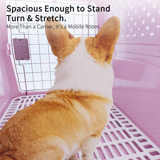 RIZZARI Hard-Sided Pet Carrier for Medium Dogs & Cats, 24" Travel Crate | Airline-Friendly Size,Durable Hard-Sided,Ventilation Openings,Secure Metal Wire Door,Comfortable Carry Handle
