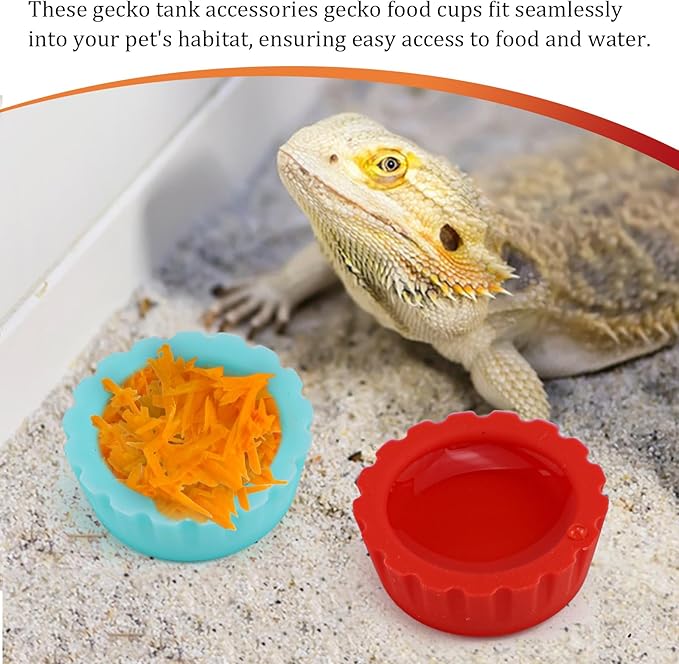 10 Pack Colorful Crested Gecko Feeding Dishes Reusable Small Reptile Food and Water Bowls Accessories for Cresteds, Tortoises, Crabs, and Small Pets10 Colors