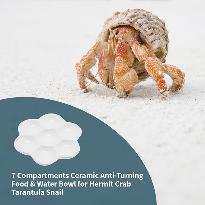 4.53" Hermit Crab Ceramic Food Dish,7 Compartments Ceramic Anti-Turning Food & Water Bowl for Hermit Crab Tarantula Snail