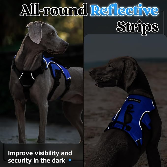 rabbitgoo Escape Proof Dog Harness for Medium, No Pull with Lift Handle | No Escape, Full Soft Padded, Reflective Adjustable Vest, Leash Clip for Walking Hiking Training, Blue, Medium