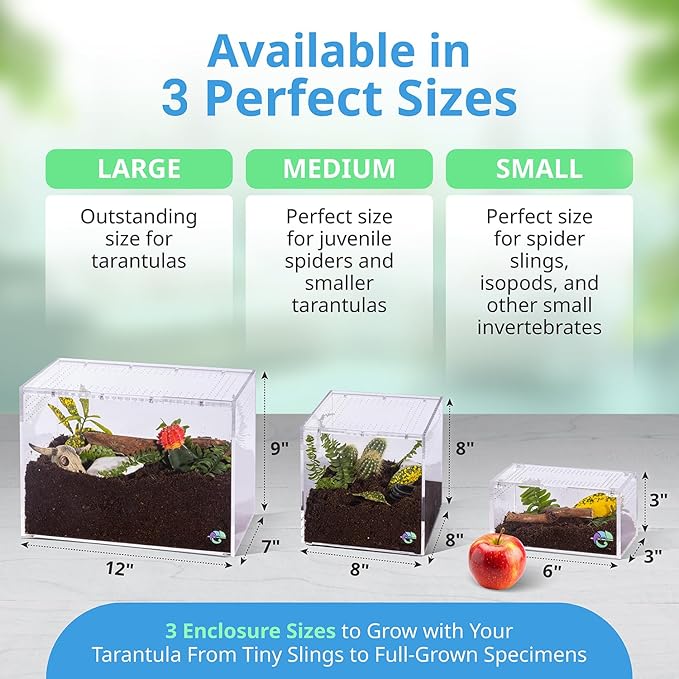 EctoTherm Acrylic Tarantula Enclosure - Versatile Terrarium for Terrestrial Tarantula, Scorpion, Isopod, Jumping Spider, Millipede, Snail, Small Reptile & Insect Habitat Kit