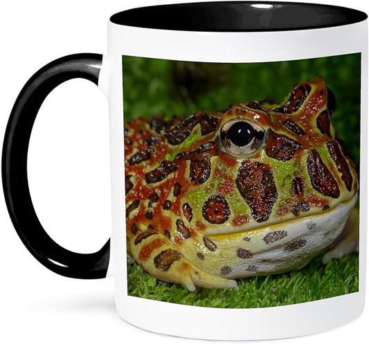 3dRose High Red Ornate Pacman Frog, Ceratophrys ornate, controlled conditions 11oz Two-Tone Black Mug