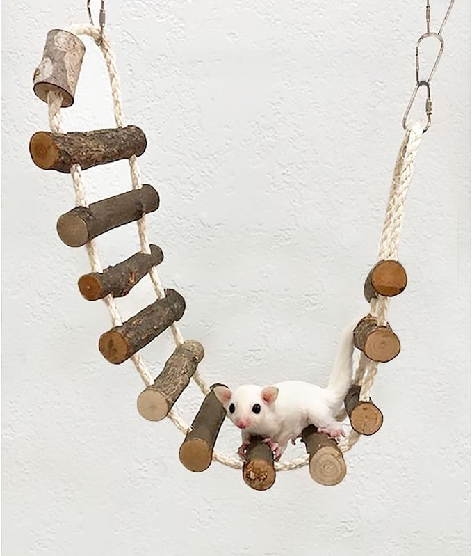 Cage Enhancement Set - Interactive Climbing Foraging Natural Branch Perch Cage Accessory Toy Bundle - for Sugar Gliders, Rats, Ferrets, Hamsters, Squirrels, Parrots, Birds, Marmosets, Degus, Monkeys