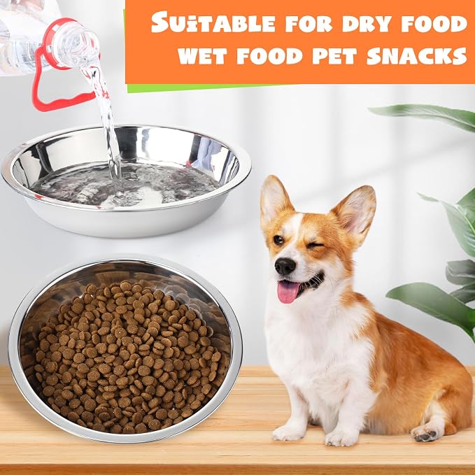 Patelai Stainless Steel Dog Bowls with Silicone Lids for 1.9 Cups Portable Food and Water Dishes for Pets Sealable Containers for 6.3" for Cats & Small Dogs(12 Pcs,Red,Blue,Green,Purple)