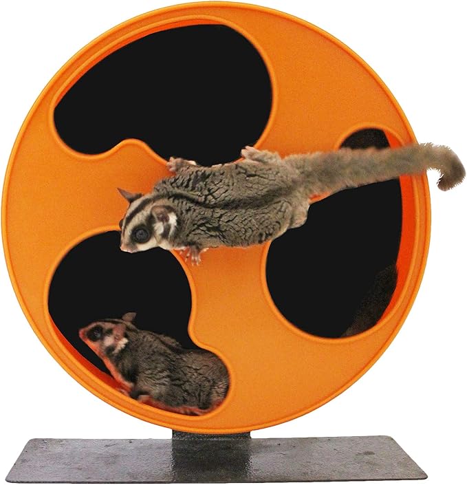 Exotic Nutrition Silent Runner 12" Regular Wheel + Autoclean Track + Sandy Track + Cage Attachment - Pet Exercise Wheel Package Set - for Sugar Gliders, Female Rats, Hamsters, Mice, Small Pets