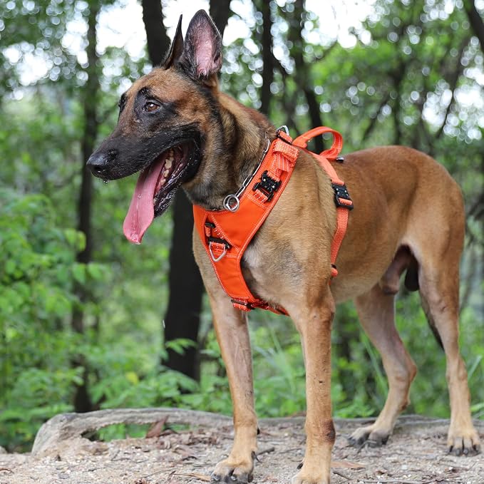ICEFANG Dog Halter Harness with Metal Buckles,Dog Strap Vest X-Large Dogs | Control Handle,Summer-Cooling,Reflective,Front Hook,Adjustable,Soft Padded,No Pull,Orange,XLarge