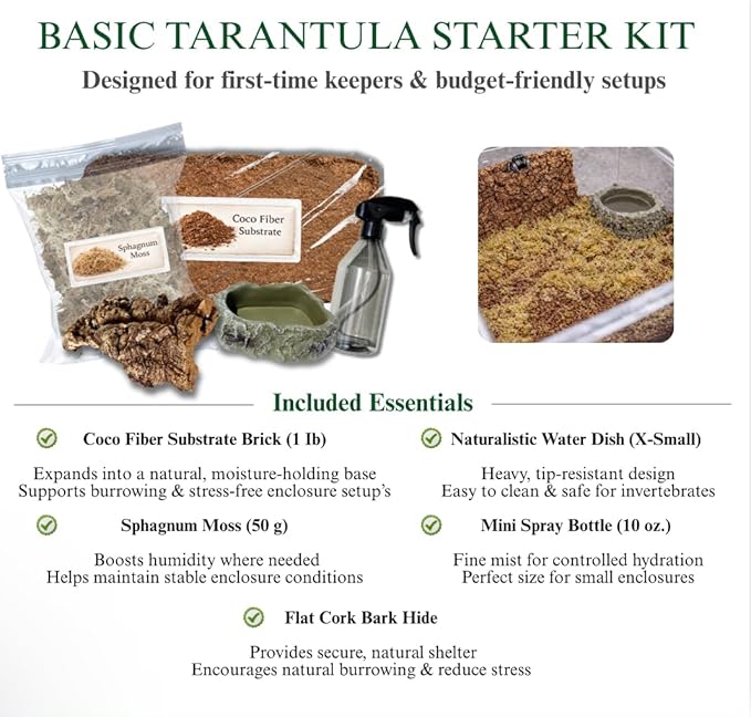 Tarantula Rehousing Supply Kit - Coco Fiber Substrate, Moss, Cork Bark Hide & Water Dish - Essential Terrestrial Tarantula Setup