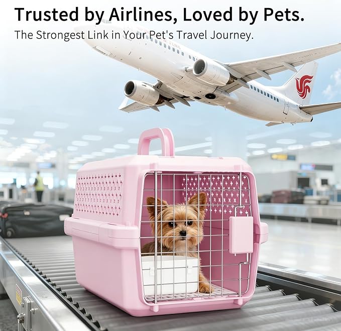 RIZZARI Pet Carrier for Small Dogs & Cats, Airline Approved Travel Carrier | Airline Approved Size,Durable Metal Door,Top Carry Handle,Ventilated Design,Includes Feeding Bowl