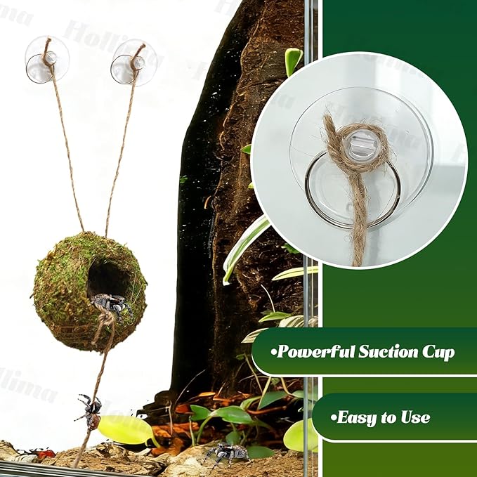 Jumping Spider Moss Cave Hide, Round Yellow Small Spider Moss Hideout, Jumping Spiders Cave Accessory for Reptile Terrarium