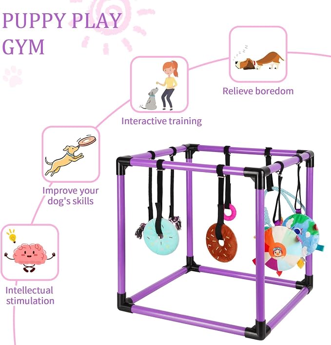 Liitrton Puppy Play Gym for Small Dogs with 8 Hanging Toys, Purple | 19.5"x19.5"x19.5" PVC Frame, Indoor Puppy Jungle Gym with Interactive Puppies Toys