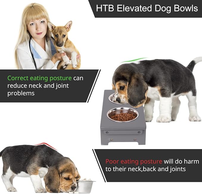 HTB Elevated Dog Bowl Stand with 2 Stainless Steel Bowls-4" H Small Grey | Raised Dog Bowl Stand, 4"tall, 21 Oz Bowls, for Small Sized Dogs, Pet-safe, Solid Bamboo