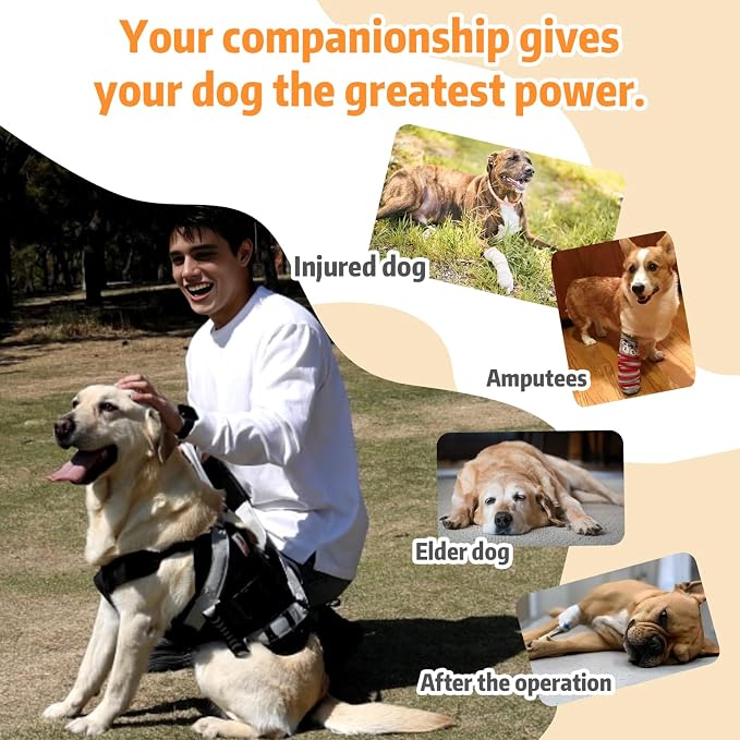 Dog Lift Harness for Large Dogs,Full Body Dog Sling Carrier, Black, Large | Help Support Big, Elderly Pet with Arthritis, Front/Rear Legs Assistance with Handle, for Lifting Injured Dogs Up Stairs