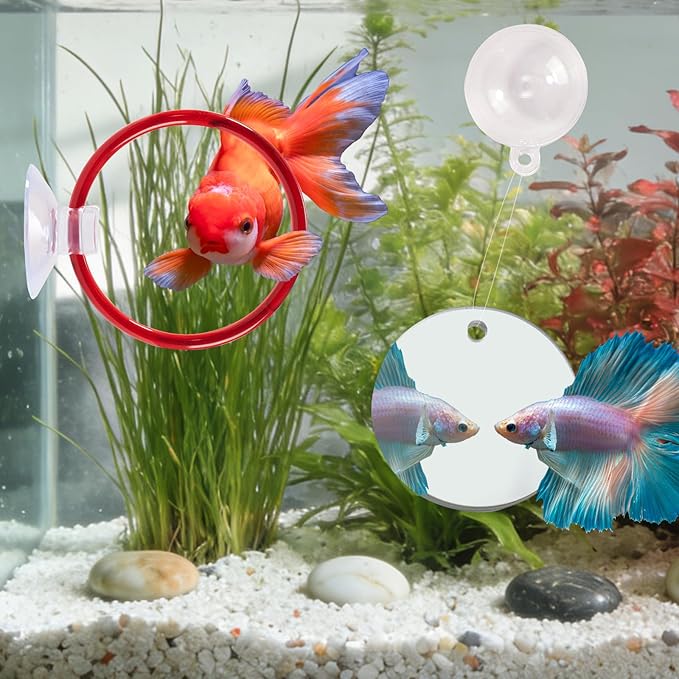 Betta Fish Toys, 2 PCS Fish Exercise Ring and Nitrifying Balls Set, Betta Mirror Toy Set, Feeding Ring with Suction Cup, Fishing Tank Accessories for Gifts (Red)