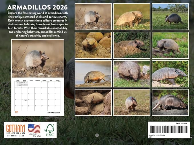 Armadillo Calendar 2026 Monthly Wall Calender 12 Month | American Made In The USA