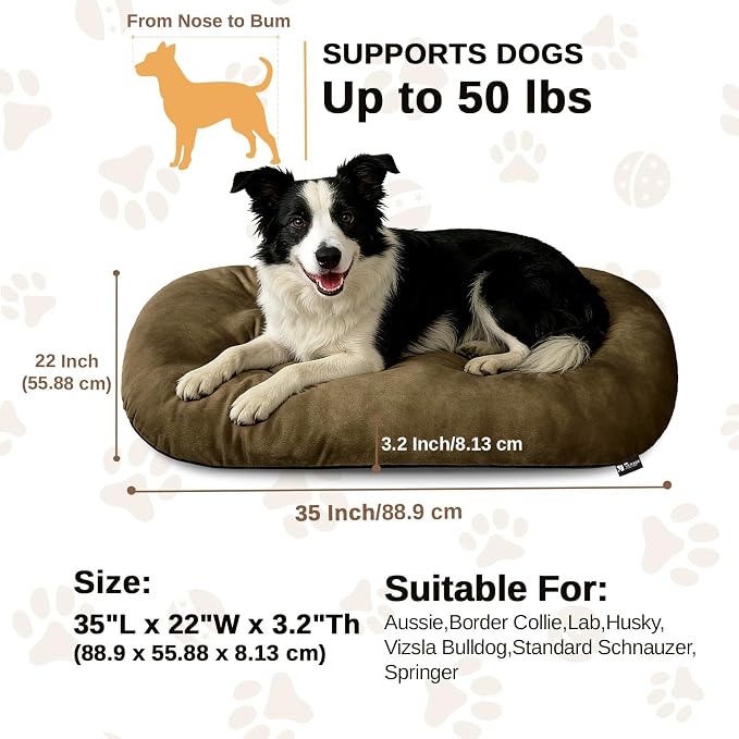 Washable Oval Dog Bed for Large Dogs, Silver-Tipped High-Resilience, Brown | Non-Slip Bottom Prevents Sliding, Soft Plush Short Fur, Machine Washable, Ideal for Crates/Apartments/Cozy Nooks,35"x22"x3.2"