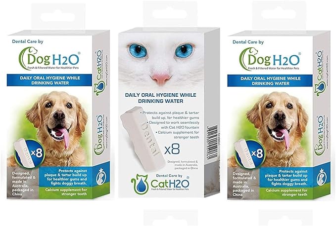 and Cat H2O Bundle, 8 Per Box, Oral Hygiene Drinking Water Additive (3 Boxes Each)