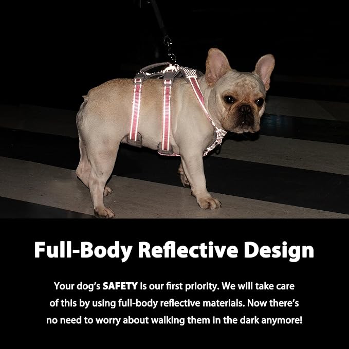 Escape Proof Dog Harness, No Pull Reflective Harness with Lift Handle,Adjustable Pet Vest with Front and Back Leash Clips for Small Medium Large Dogs Walking Hiking Training(Lavender Purple,L)