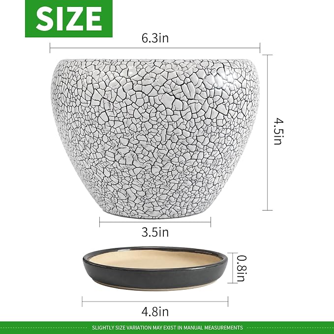 Deep Dream 6 Inch Plant Pots- Ceramic Planter Pot with Drainage Hole and Saucer, Round Flower Pot for Indoor Outdoor Succulent, Snake Plants and Cactus, Wood Crack Black
