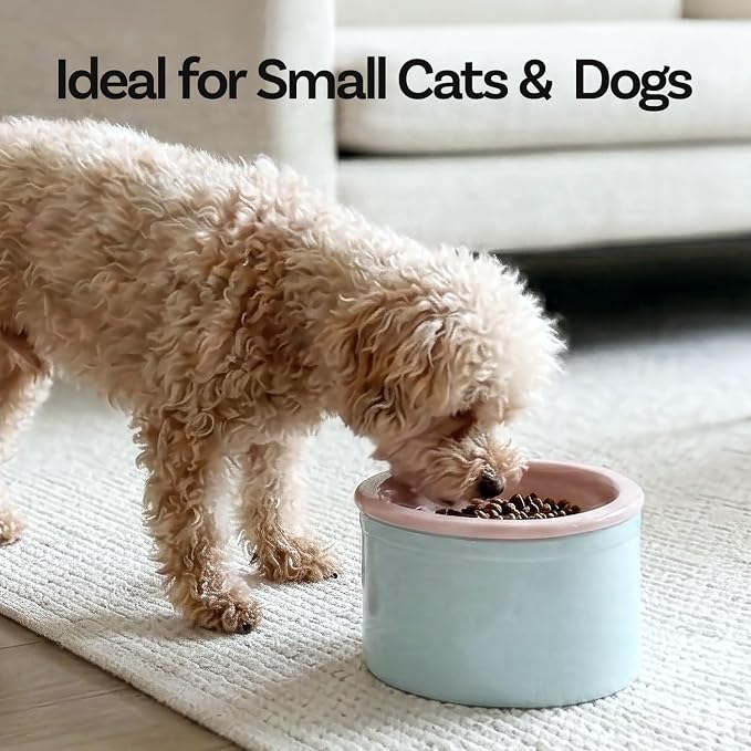Premium Ceramic Elevated Dog & Cat Food Bowl, Reduces Pressure on Spine, Ergonomically Designed, No Vomiting, No Shaking, Easy to Clean, Microwave & Dishwasher Safe