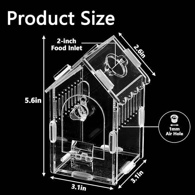 House-Shaped Acrylic Insect Terrarium & Reptile Habitat Kit - Multi-Purpose Bug Enclosure for Jumping Spiders, Praying Mantises & Frogs - Clear Acrylic Insect Cage with Ventilation, Easy Maintenance