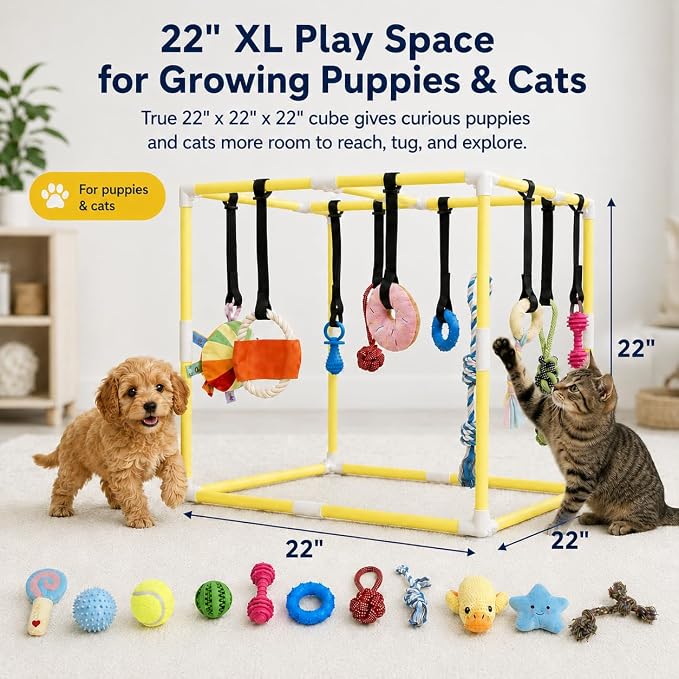 Puppy Play Gym with 17 Hanging Toys, Small Dog Indoor Enrichment Jungle Gym | Interactive Activity Center for Energetic Puppies & Cats, Teething Squeaky Toys, Bungee Straps & 22 in PVC Frame Playground