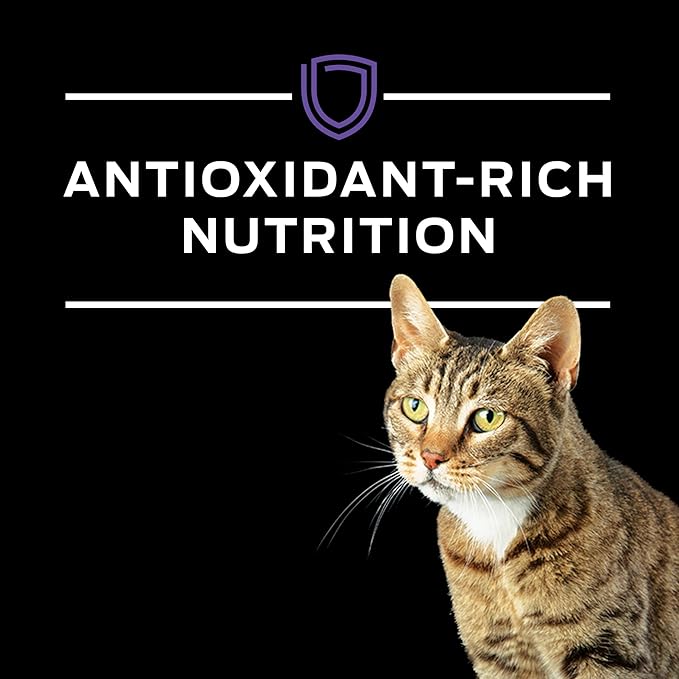 Pro Plan Veterinary Diets Purina DH Dental Health Feline Formula Dry Cat Food - 6 lb. Bag