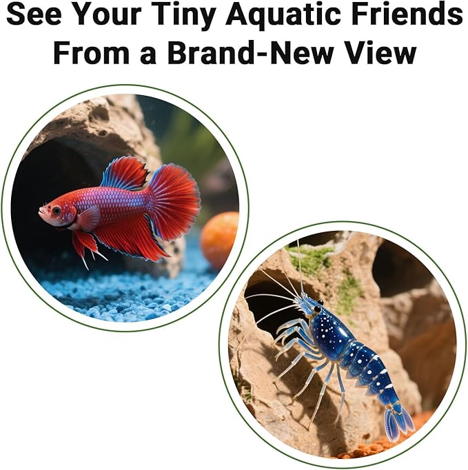 90° Corner Fish Cave Viewing Tunnels | Realistic Rock Formation Hideout for Shrimp, Plecos, Cichlids | BPA-Free Premium Resin, Safe for Aquarium (5.3”x5.3”x2.8”)