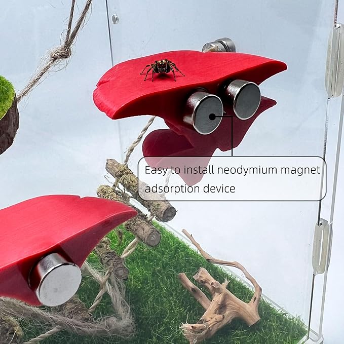 Jumping Spider Mushroom Shelf, Magnetically Concealed Jumping Spider Habitat,Serves As Enclosure Decorate Accessories for Spider Climbing Feeding and Platforms (Red)