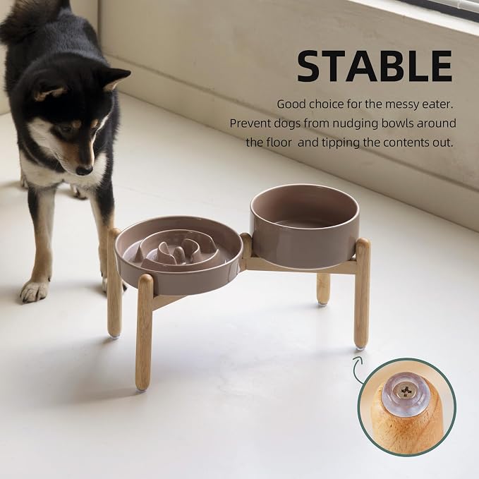 Havniva Elevated Slow Feeder Dog Bowls, Ceramic Dog Bowl Slow Feeder Set | 1.6 Cups Raised Slow Feeder Dog Bowl for Medium Breed, 7.3” Dog Water Bowl with Wooden Stand, Puzzle Dog Food Bowl, Non-slip
