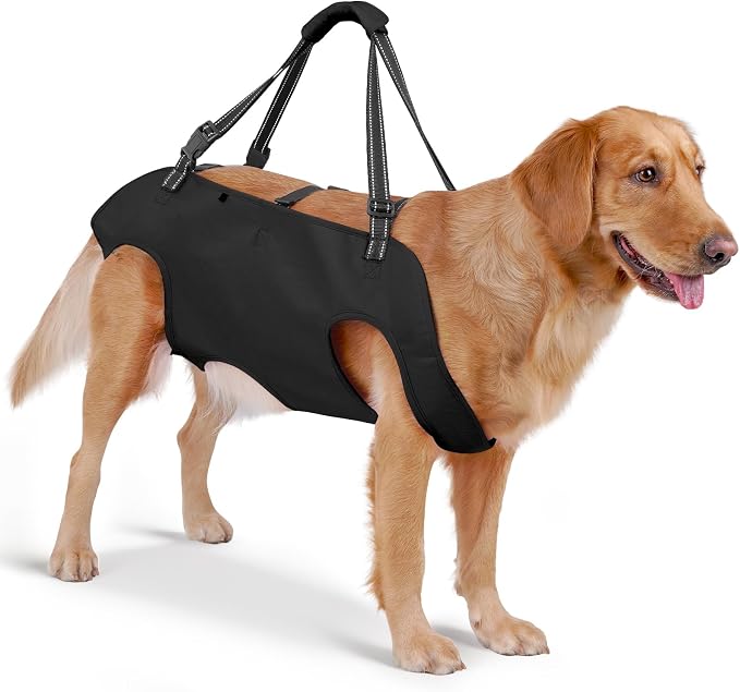Full Body Dog Lift Harness, Support Senior & Disabled Dogs Walking | Help Up & Down Stairs Grooming, Dog Sling Backpack, Front Hind Leg Joint Injuries, Reflective, Soft Padded Handle | Black, M