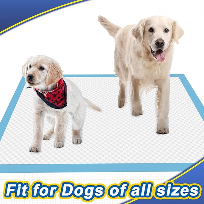 Dogcator Dog Pee Pads Extra Large 80 Count, Thicken Dog Training Pads 30"x36", Puppy Pee Sheets XL for Indoor, Outdoor Use, Heavy Absorbent Disposable Underpads, Blue