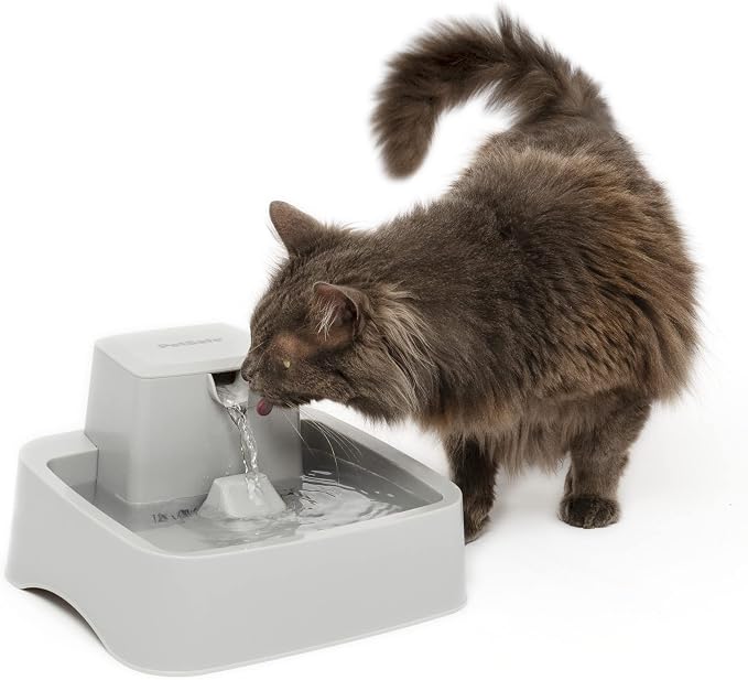 PetSafe Oasys Pet Fountain, 1/2 Gallon (64 oz), Small Dogs & Cats | Adjustable Water Flow, Whisker-Friendly Tray, Dishwasher-Safe, Replaceable Carbon & Foam Filters Included