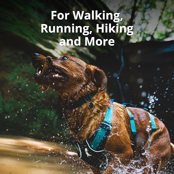 Ruffwear, Flagline Dog Harness, Lightweight and Reflective, No Pull Dog Lift Harness for Hiking, Running and Everyday Use, Sage Green, XX-Small