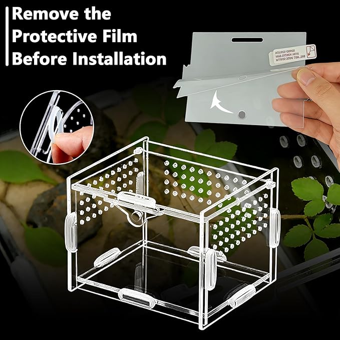 Small Acrylic Insect Terrarium - Mini Bug Enclosure for Jumping Spiders, Praying Mantises & Tiny Frogs - Clear Acrylic Cage with 1mm Ventilation Holes, Easy Maintenance