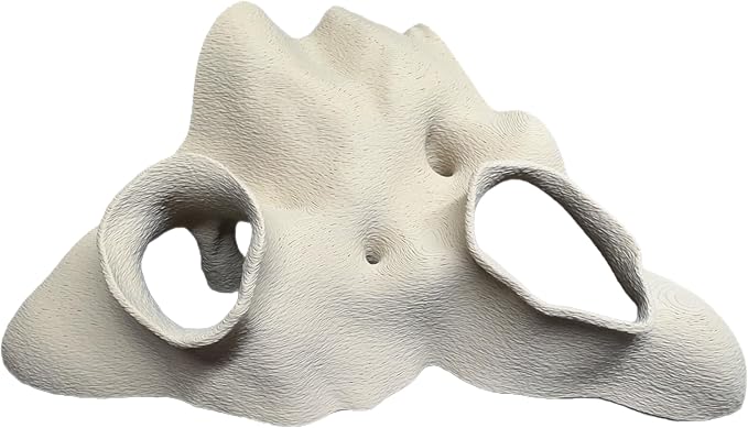 Aquarium & Terrarium Corner Underground Cave – Faux Mangrove Root Hideout for Betta, Corydoras, Shrimp, Geckos & Snakes – Natural-Look Tank Decor in Textured Root Style (Desert Tan, 7.5''x7.5''x4'')