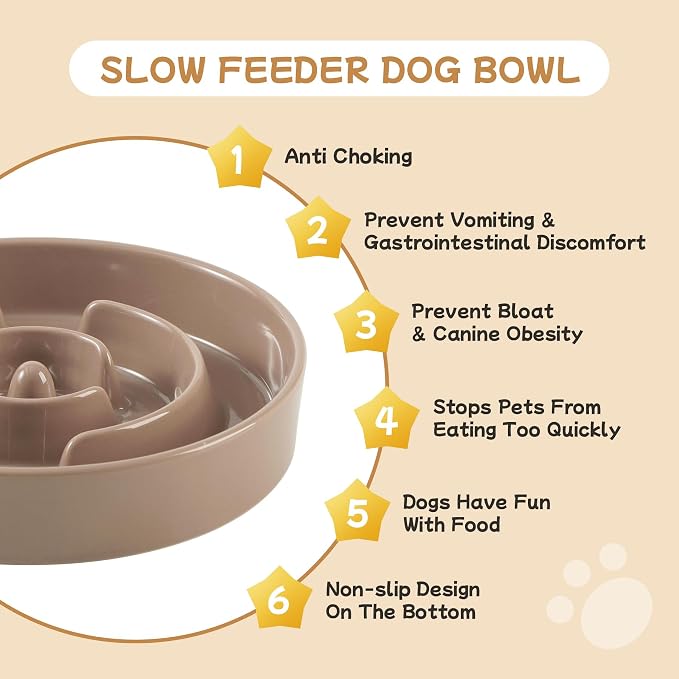 Havniva Elevated Slow Feeder Dog Bowls, Ceramic Dog Bowl Slow Feeder Set | 0.9 Cups Raised Slow Feeder Dog Bowl for Small Breed, 6.1” Dog Water Bowl with Wooden Stand, Puzzle Dog Food Bowl, Non-slip