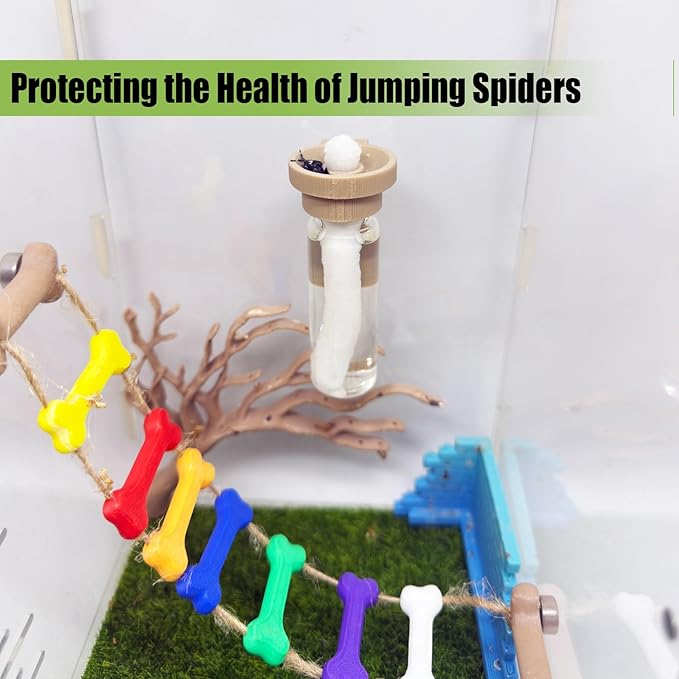 Jumping Spider Water Dispenser, Magnetic Hanging Feeder,Suitable for Jumping Spiders,Tarantulas, Praying Mantises,Arboreal Animals, and Other Small Animal Enclosure Accessories (Wood Color, 10ML)