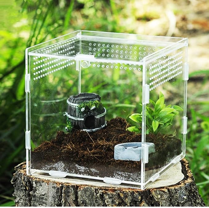 AWXZOM Magnetic Acrylic Case, micro habitat small Tarantula Enclosure enclosure for arboreal Tarantula Scorpion Sling Lizards Mantis Snake Gecko jumping spider snail Insect Isopods (3.5*3.5*3.7inch)