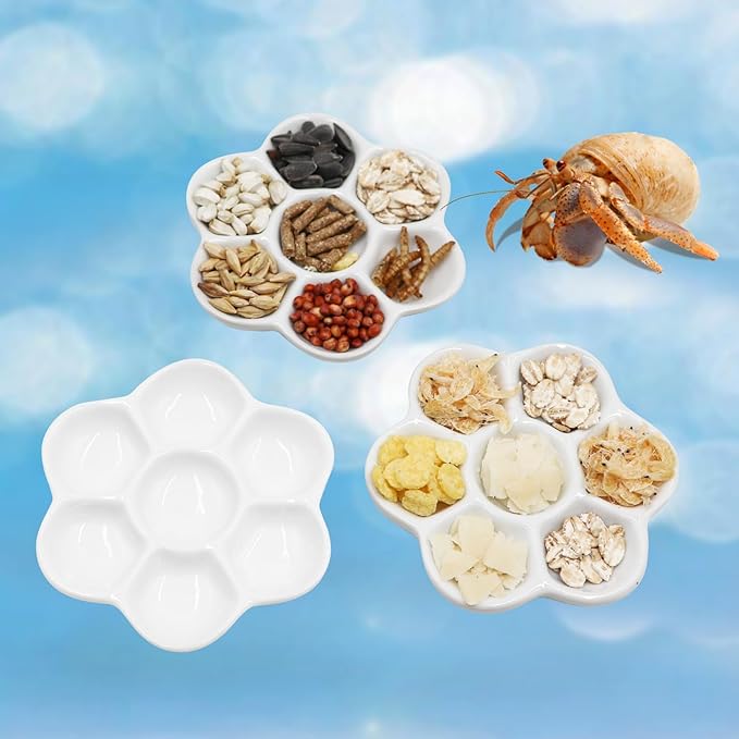 3 Pack Hermit Crab Food Bowl & Water Dish, Ceramic Hermit Crab Feeder Kit, Suitable for Hermit Crab Tarantula Snail