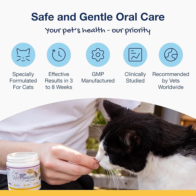 ProDen PlaqueOff Soft Chews with Natural Kelp - for All Breed Cats - Supports Normal, Healthy Teeth, Gums, and Breath Odor in Cats - 45 Soft Chews