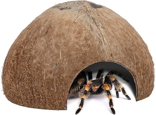 2 Pack Natural Coconut Reptile Hideouts, Lizard, Spider and Aquarium Fish Hide Cave (Natural Surface)