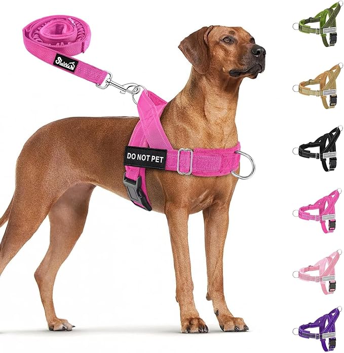 SlowTon No Pull Dog Harness with Front Clip - Heavy Duty, Soft Padded | Neck & Chest Adjustable, Tactical Pet Vest and Leash Set for Large Medium Sized Dogs, for Easy Walk & Training, Fuchsia S