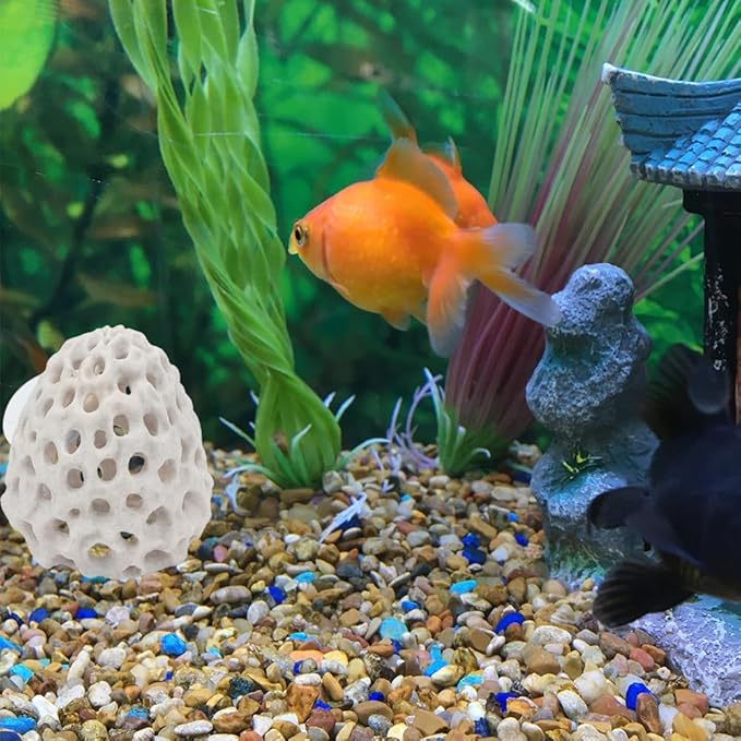 Shrimp Dome Hide and Betta Fish Tank Decorative Mirror, 2 Pack Betta Habitat Tank Ornament Accessories Tunnel with Suction Cup Aquarium Fish Cave Hideout Ornament Accessories for Shrimp Guppy Hiding