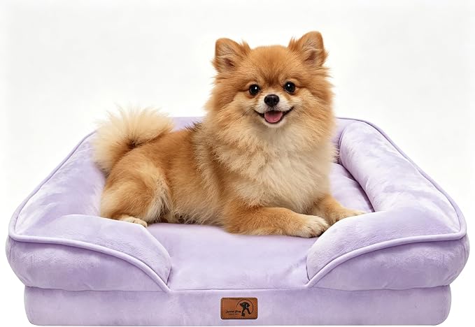 Spotted Play Orthopedic Dog Bed with Sides - Sofa Beds for Small Dogs, Supportive Foam Pet Couch Bed with Washable Removable Cover, Waterproof Lining and Non-Slip Bottom, Purple - S