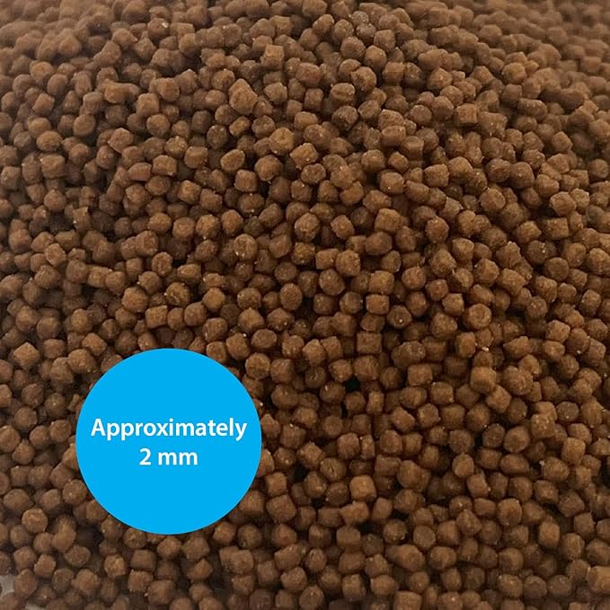 Marine Fish Food (2.56 Oz), Marine Fish Pellets for Small Fish, Balanced Diet, Support Health, Saltwater Fish Food, Small Pellets Marine Fish Food