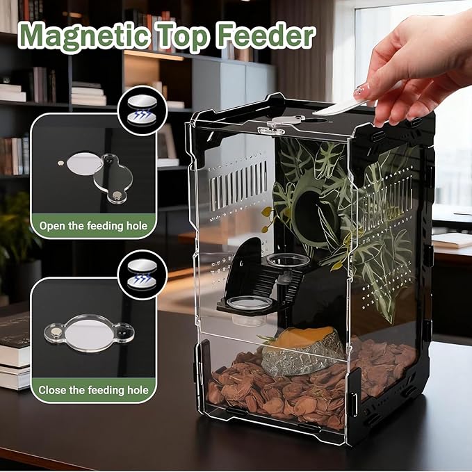 Jumping Spider Enclosure - 3mm Black Transparent Acrylic Terrarium for Tarantulas, Mantises & Frogs, 11.8x5.9x5.9 Inch Mechanical Frame Habitat with Magnetic Feeding Hole & Rotating Lock